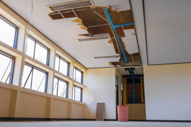 Best Water damage restoration near me  in Lincolnshire, IL