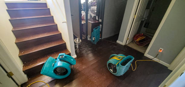 Reliable IL Water damage restoration Solutions