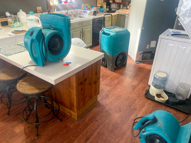 Best Water damage contractors near me  in Lincolnshire, IL