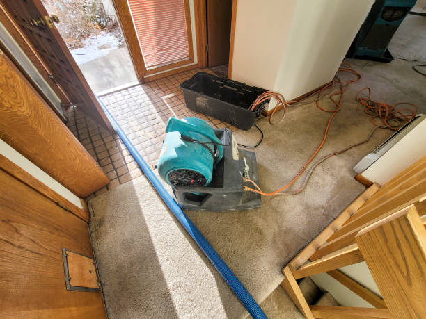 Best Basement water damage restoration  in Lincolnshire, IL