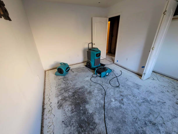 Best Water damage restoration specialists  in Lincolnshire, IL