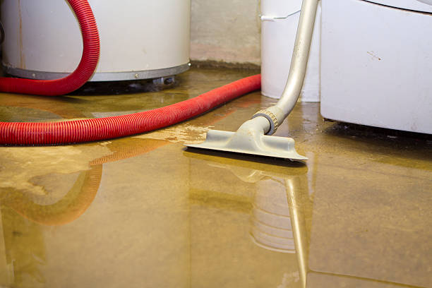 Best Water damage cleanup near me  in Lincolnshire, IL